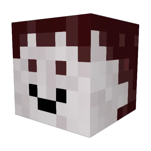codenamecricket Minecraft avatar head, 3D render