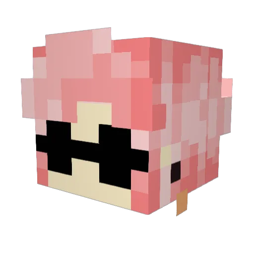 codenamesloan Minecraft avatar head, 3D render