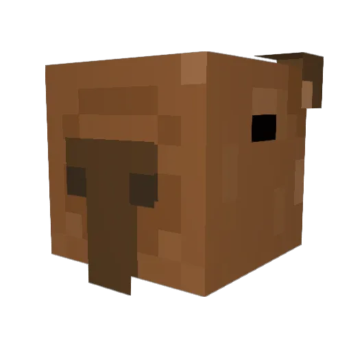 codeninjascamp6 Minecraft avatar head, 3D render
