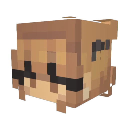 coder_dog Minecraft avatar head, 3D render