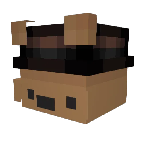 codescarlet Minecraft avatar head, 3D render