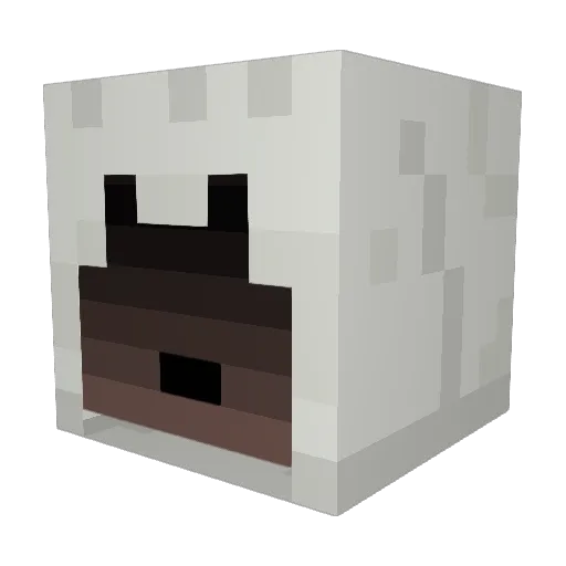 codfishcody Minecraft avatar head, 3D render