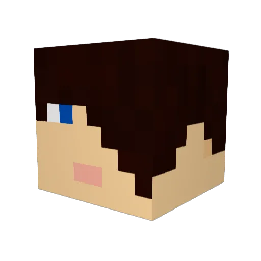 codninja42 Minecraft avatar head, 3D render