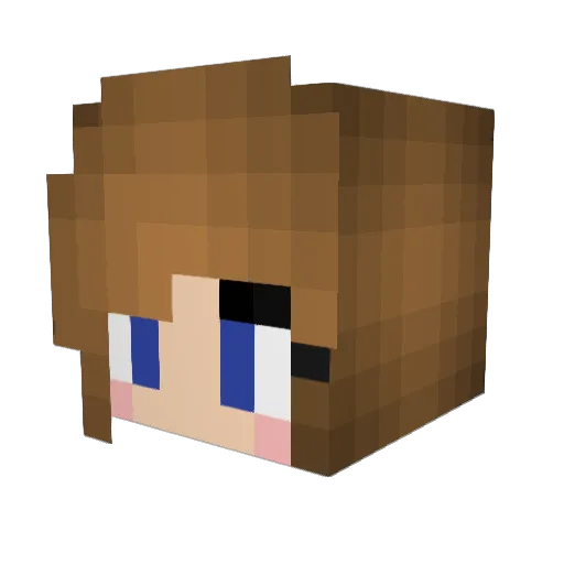 codycodster Minecraft avatar head, 3D render