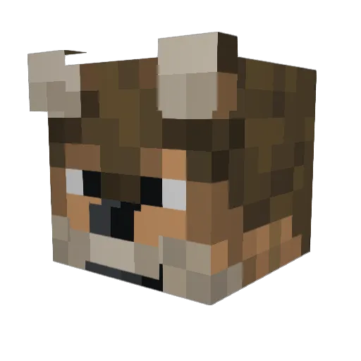 codycodyco Minecraft avatar head, 3D render