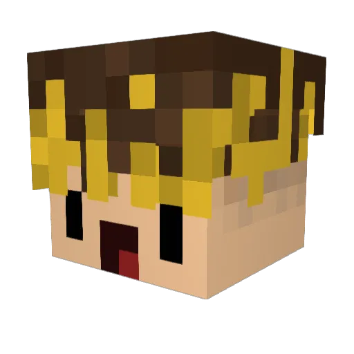 coeJuaum Minecraft avatar head, 3D render