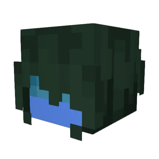 coeluna Minecraft avatar head, 3D render