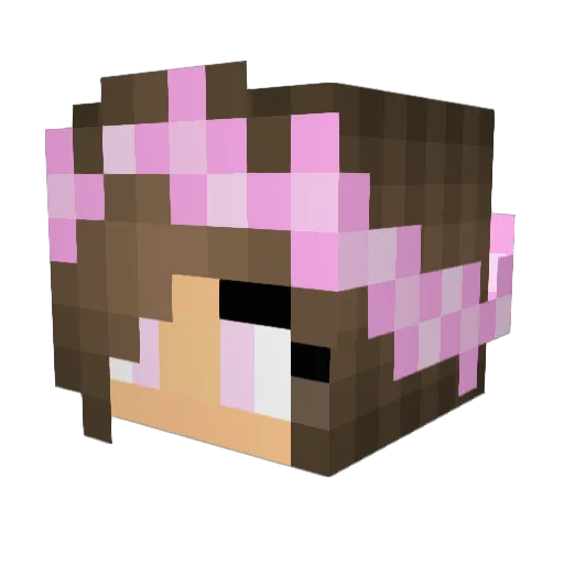coercitor Minecraft avatar head, 3D render