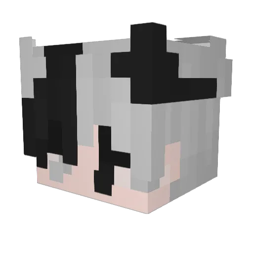 coerxive Minecraft avatar head, 3D render