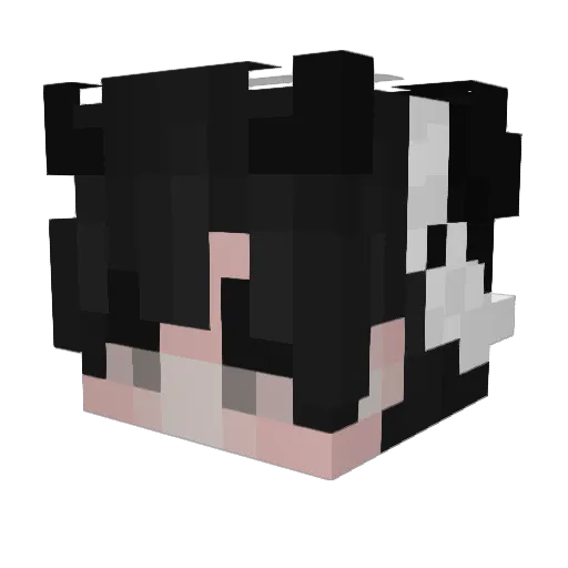 coffee0422 Minecraft avatar head, 3D render