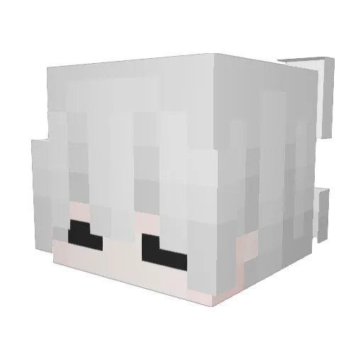 coffee2288 Minecraft avatar head, 3D render