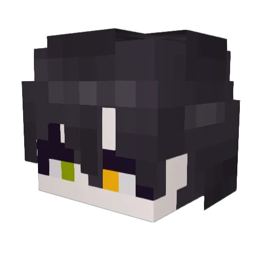 coffee_song Minecraft avatar head, 3D render