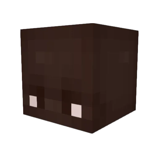 coffeeabdi Minecraft avatar head, 3D render