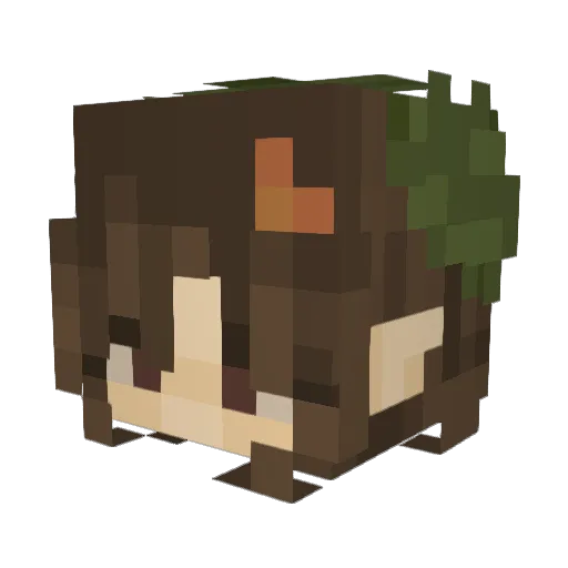 coffeebasedgod Minecraft avatar head, 3D render