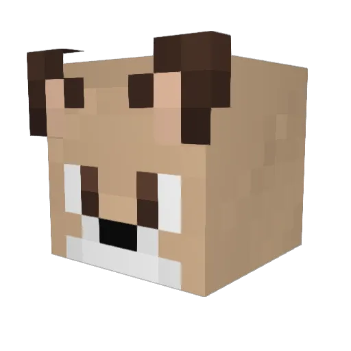 coffeefoxo_ Minecraft avatar head, 3D render