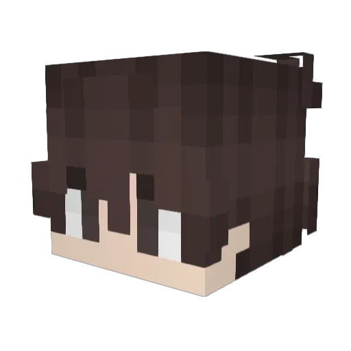 coffeeren Minecraft avatar head, 3D render