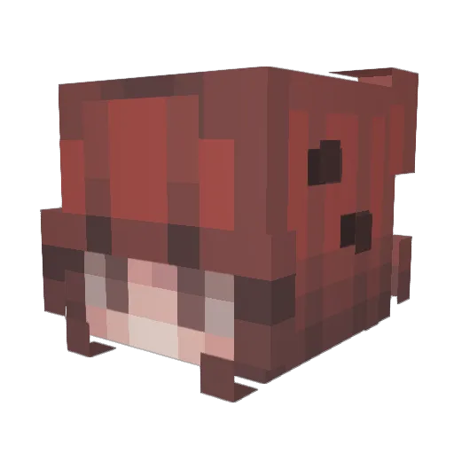 coffeeshopdate Minecraft avatar head, 3D render