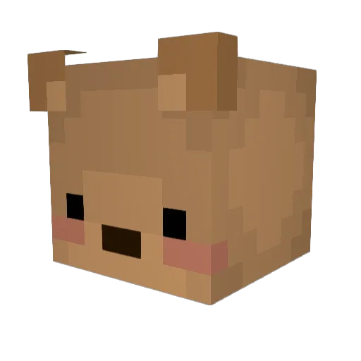 coffeestainn Minecraft avatar head, 3D render