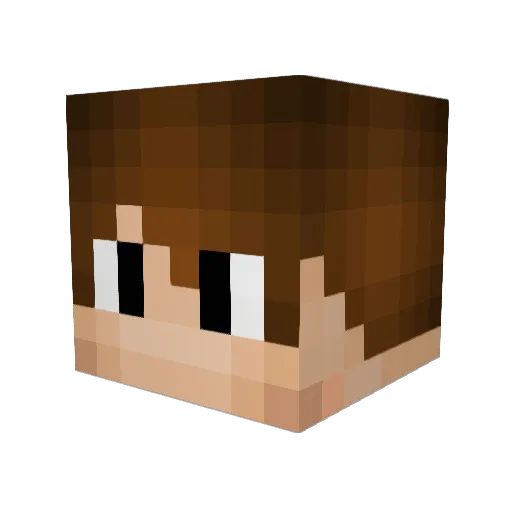 coffestain Minecraft avatar head, 3D render