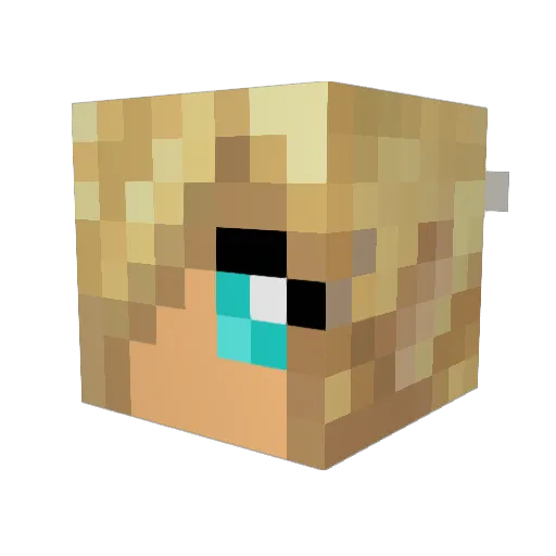 coffeybean101 Minecraft avatar head, 3D render