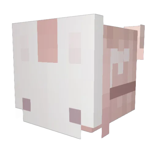 coffincontrol Minecraft avatar head, 3D render