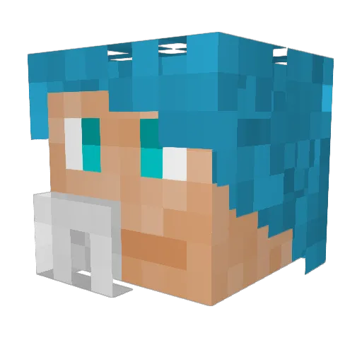 cofipacoti Minecraft avatar head, 3D render