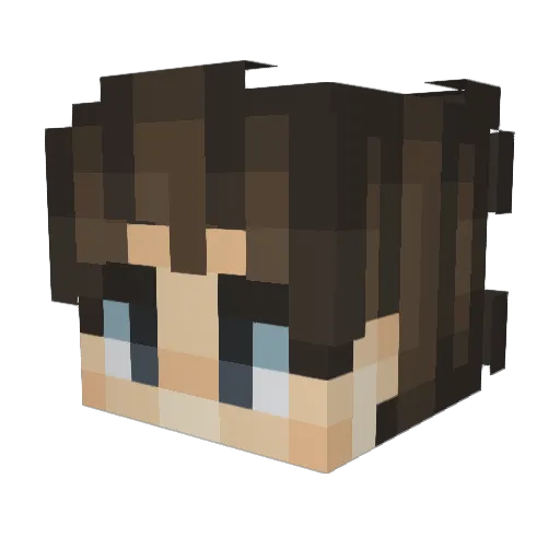 coil1 Minecraft avatar head, 3D render