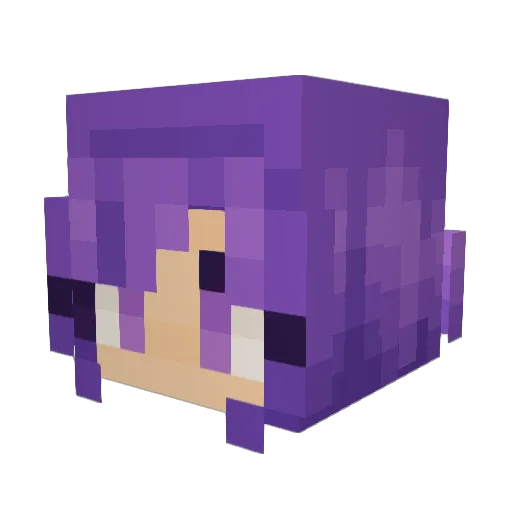 coilecoolest Minecraft avatar head, 3D render