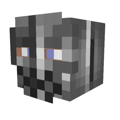 coiledskater Minecraft avatar head, 3D render