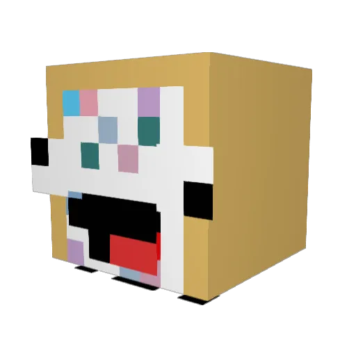 coin213lol Minecraft avatar head, 3D render