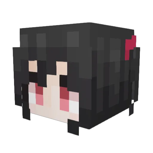 coinc1234 Minecraft avatar head, 3D render