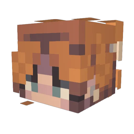 coinflip4804 Minecraft avatar head, 3D render