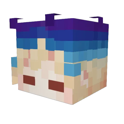 coinpin Minecraft avatar head, 3D render