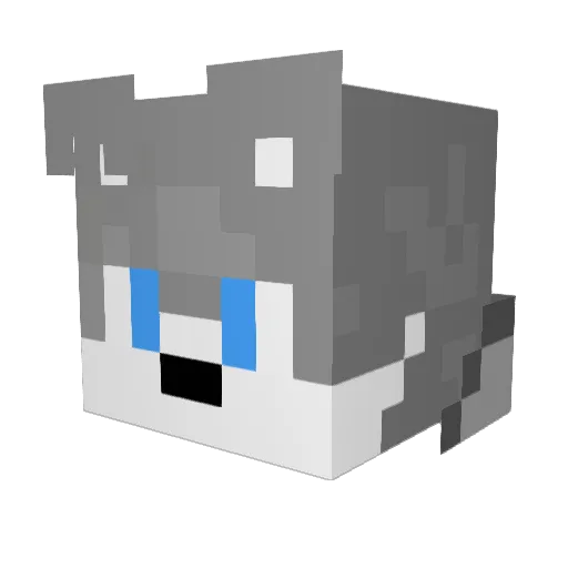 coiotul Minecraft avatar head, 3D render