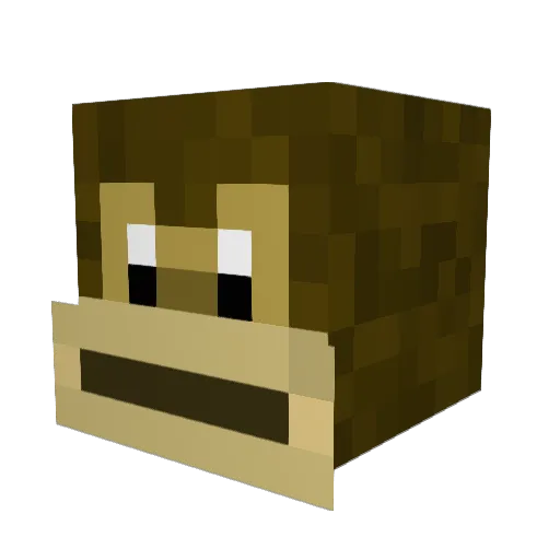 coisle Minecraft avatar head, 3D render