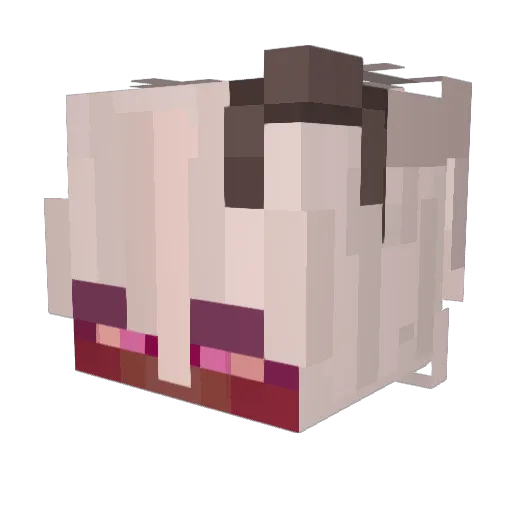 coivo Minecraft avatar head, 3D render