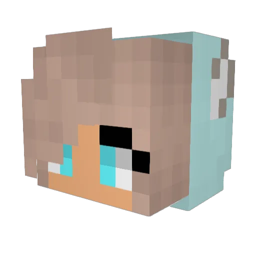 cojab1YT Minecraft avatar head, 3D render