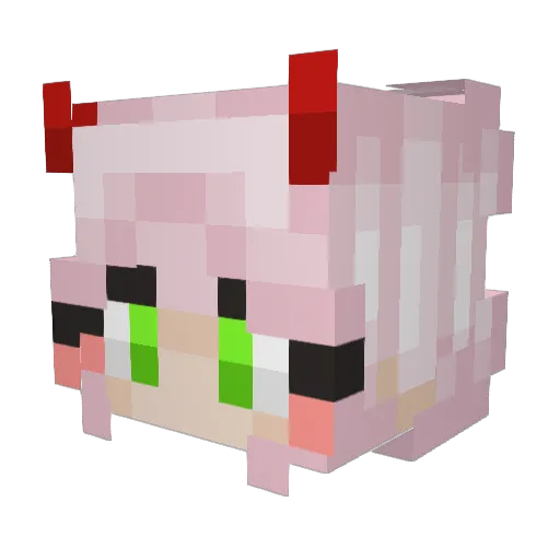 cojest5 Minecraft avatar head, 3D render