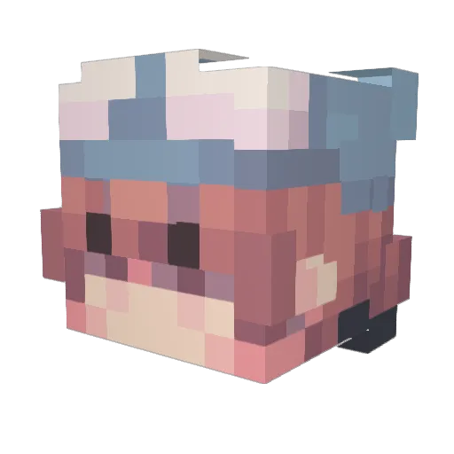 cokayeen Minecraft avatar head, 3D render