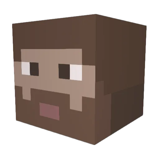 cokeintaker Minecraft avatar head, 3D render