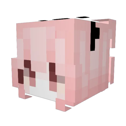 cokepp Minecraft avatar head, 3D render