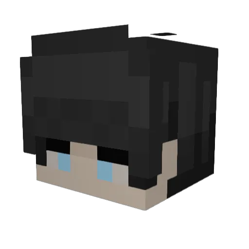 cokeslanger420 Minecraft avatar head, 3D render