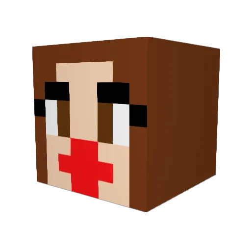cokeswag Minecraft avatar head, 3D render