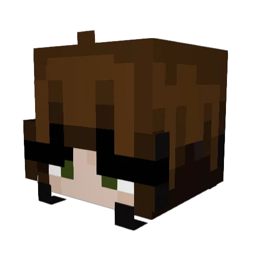 cokewalrus Minecraft avatar head, 3D render