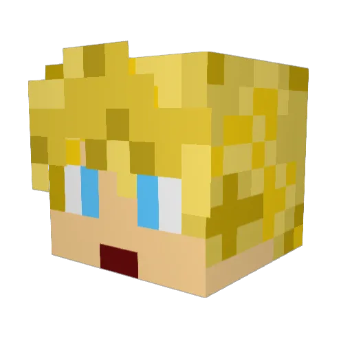 coki_4 Minecraft avatar head, 3D render