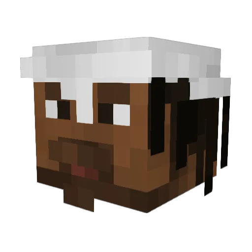 cokis37 Minecraft avatar head, 3D render