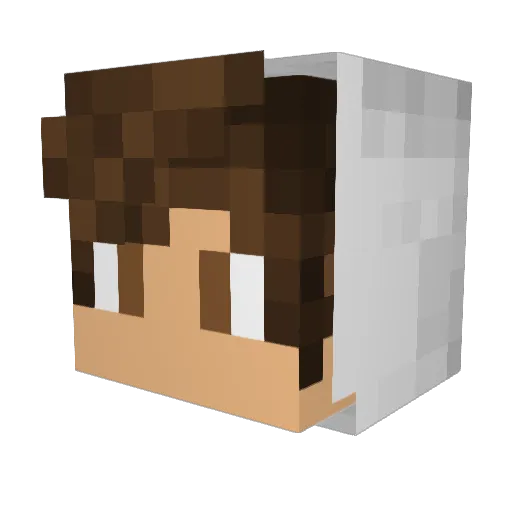col02bros Minecraft avatar head, 3D render
