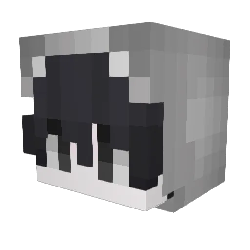 cold16 Minecraft avatar head, 3D render