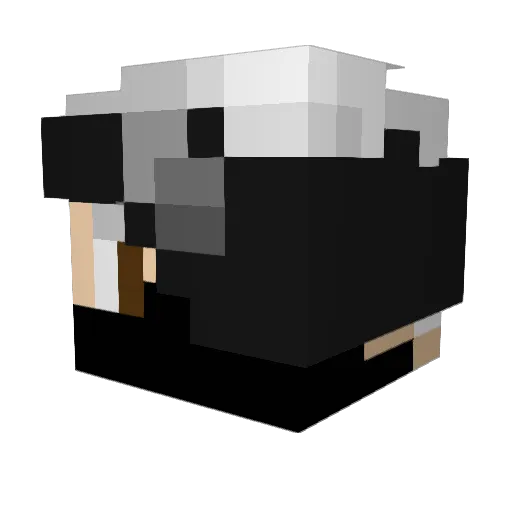cold_knife_14 Minecraft avatar head, 3D render