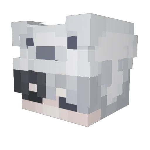 coldbear22 Minecraft avatar head, 3D render